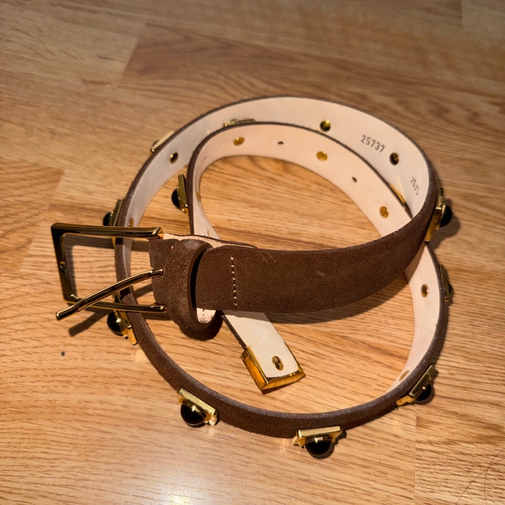 Aureum Collective No.2 Chocolate Suede Studded belt - Picture 3 of 3